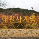 지리산 대원사 계곡 트레킹 이미지