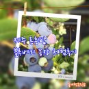 용흥농장 이미지