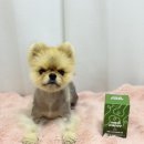 라온메디케어 이미지