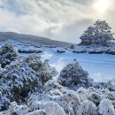 8월10일~13일(3박4일) Winter Tongariro Tramping 이미지