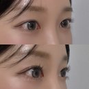 파이브업 | 번짐 없는 마스카라 파이브바이브 엑스트라 슬림 컬 업 카키 후기