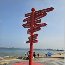 포항 영일대해수욕장 장미공원(2025.6.1) 이미지