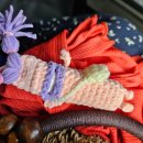 비치코스메틱 | 태국 치앙마이 7박 9일 | Day7 엘리핀팜 반캉왓 투어, 마야몰 쇼핑리스트, 원님만, 윈코스메틱, 재즈바