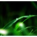 풀잎유통 이미지