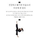 드래곤태권도 이미지