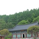 고요한숲