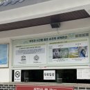 순천 선암사 세계문화유산 선암사와 승선교 방문후기
