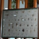 털보선장횟집 | 태안 안면도 털보선장횟집 내돈내산 후기｜10년 넘게 다녔던 단골집, 애견 강아지 동반 가능 이번이...