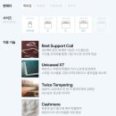 씰리 신혼부부 침대추천 엑스퀴짓 헤븐리시더, 토르테 2