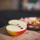 꿈이있는사과나무 이미지