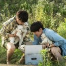 멍뭉이 미용실 이미지