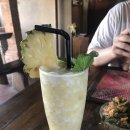 가우리 GAURI 이미지