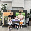 강원도디엠제트박물관 이미지