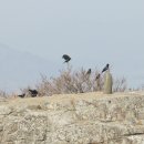 팔영산국립공원 이미지