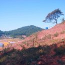 다복농장 이미지