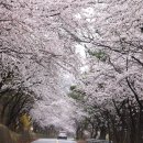 청룡저수지 이미지