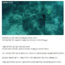 (펌)현실판 아쿠아맨 '바자우족' 70m 바다 아래에서 10분 넘게 잠수 이미지