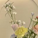 아피아피 apyapy 이미지