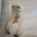 교촌치킨 대곡점 이미지