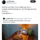 여러분 토스터기 불 난거 아니고 불멍?가습기야ㅠㅠ 이미지