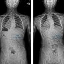 리캔두 컨디셔닝 운동센터 이미지
