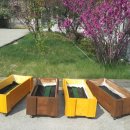 무봉유치원 이미지