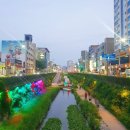 부흥로336번길 | 부천 밤에 갈만한곳 심곡천
