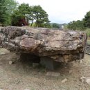 양구선사박물관 이미지