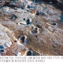 제주 사람발자국과 동물발자국 화석산지 이미지