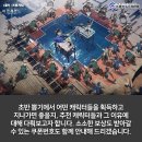 캐릭터랜드 이미지
