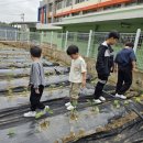 김천동부초등학교 이미지