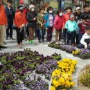 영통로, 효행로 이미지