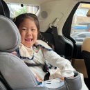 배다골길 이미지