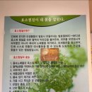 자연발효효소찜질