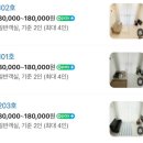 옥상달빛펜션 이미지