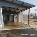 내기새싹길 이미지