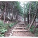 황령산 정상체육시설 이미지