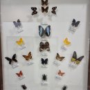 해오름전시실 이미지