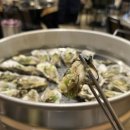 장닭과촌닭 이미지