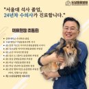 천동물병원 이미지