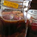 몸에좋은 과일효소만드는법 이미지