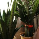 서대전네거리 이미지