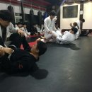 흑룡체육관 이미지