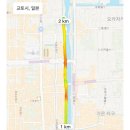 개청순한고양이 | 모든 것이 용기와 럭키의 도쿄