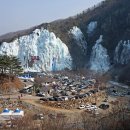 금월로 소나무길 | 청송여행/ 청송 가볼만한 곳/ 청송관광 명소 소개