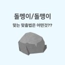 태권짱 | 3월에 꽃 폈다 🌸