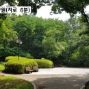 신평농장 티스토리