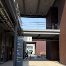 지혜네 | 파주출판단지 지혜의 숲 | 아이와 주말 나들이 + 나인블럭 브런치 후기