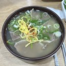 고고 곰탕 | 나주 맛집 [나주곰탕 하얀집] 솔직후기/ 휴무일 / 내돈내산