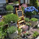 하나행정사 이미지